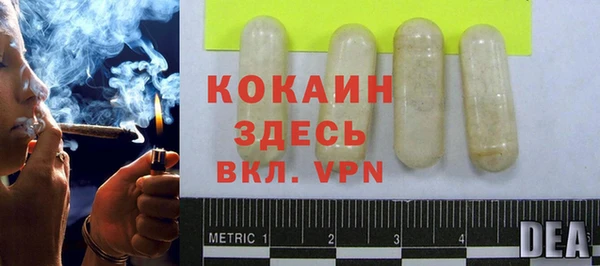 молекула духа Кинешма
