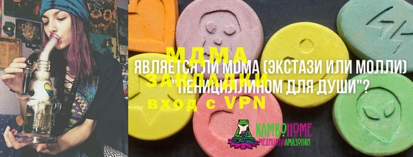 соль ск Козельск