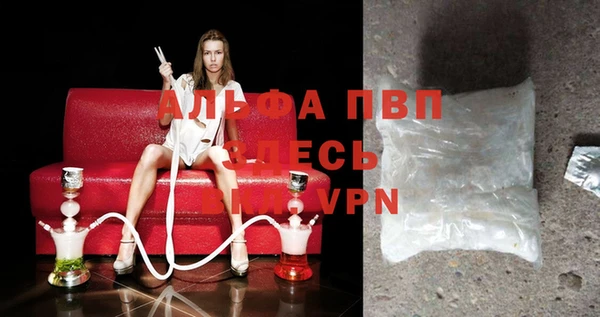 молекула духа Кинешма