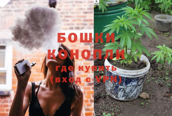 соль ск Козельск
