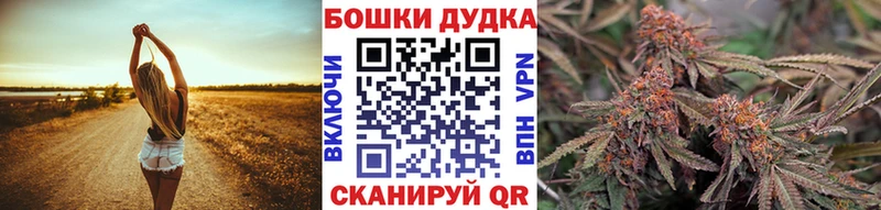 Конопля OG Kush  Купить где  Малоярославец 